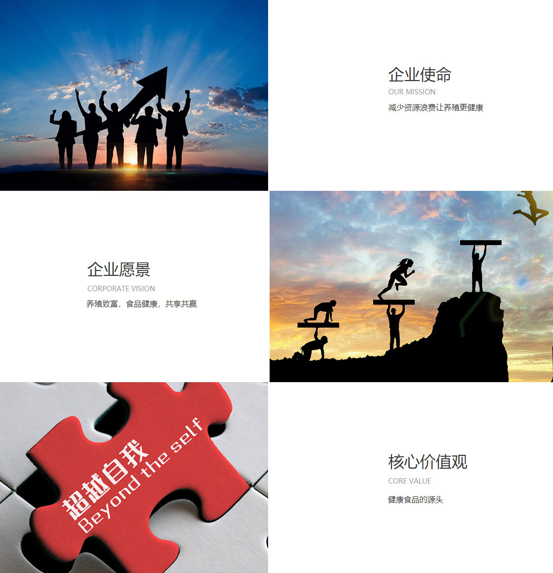 抓饭直播网球在线观看(图1)